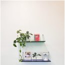 더아리웃집2 이미지