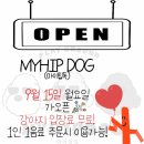 힙독 애견카페 이미지