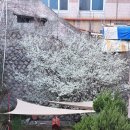 보수동책방골목거리 이미지