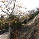 만경대 | 오인교의 전라도누정기행-전주 만경대(萬景臺)-2