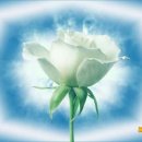 웰빙식품 이미지