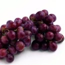 밝은눈안과의원 이미지