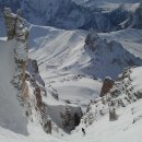 25시동물병원 이미지