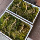 씨돌농장 이미지