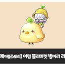 찌마켓