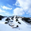 강원도 횡성군 횡성읍 횡성로 이미지