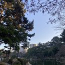 케이엔 케이 | 겨울 히로시마 여행 가볼 만한 곳 일본식 정원 슛케이엔 후기