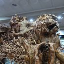 사립강원종합박물관 이미지