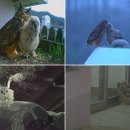 대단해농장 이미지