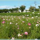 빗물펌프장옆 이미지