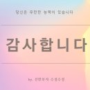 &#39;세상에서 가장 쉬운 양자역학 수업&#39; 강의후기 &#39;우리의 뇌는 양자컴퓨터일까?&#39;