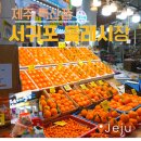제주여행 마지막 날, 올레시장 꼭 사야하는거 천혜향 /오메기떡/옥돔