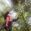 한성대학교 이미지