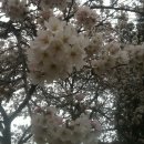 이리여자고등학교 이미지