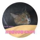 돌담동물의료센터 이미지