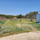 부국공인중개사사무소 이미지