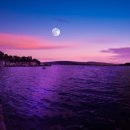 퍼플오션 이미지