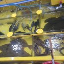 일마레민박 이미지