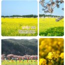 4월 주중 행복방 정기여행 공지. 이미지