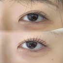 둔산로51번길 이미지