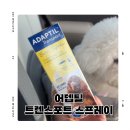 몰포트코리아 | 강아지 전기차 멀미 할 때 진짜 효과 본 어뎁틸 트렌스포트 스프레이