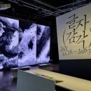 한글자설 | 2026년을 바꿀 사고의 전환, '글자감각' 전시 후기