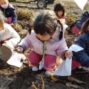 담양도래수마을 이미지