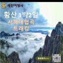 (주)세진여행사
