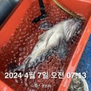 군산 원낚시 뉴오리온호 추천 먼바다 어초 우럭 선상낚시 후기 (4.7)
