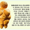 위대한 창조주 어머니신의 역사 이미지