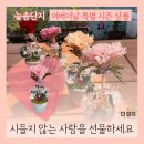 늘솜유통