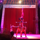 통영서커스 이미지