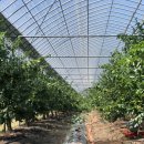 종하농장 이미지