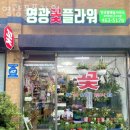 영광꽃집