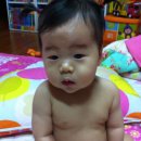 서후 이미지