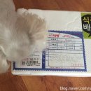 미스터토리 이미지