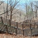 오례마을 Daum카페