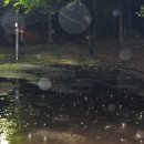 소향공원 이미지