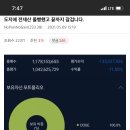 도지코인에 전재산 11억 몰빵했던 직장인 이미지
