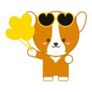 지수동물병원 이미지