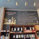 인투캣츠 | 태백카페 인투캣츠 카페 태백데이트코스 추천