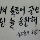 붓펜 캘리그라피 이미지