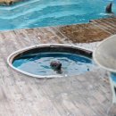 고래와 신사(더 마린) | 후쿠오카 여행 코스 아쿠아리움 마린월드 예약 관람 볼거리 추천