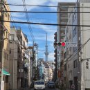 명성 사우나 | 11월의 도쿄에는 낭만이 있다 / 5일차 (1일 2사우나)