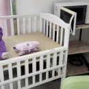 양서·파충류생태공원 2층 이미지