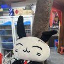 휘경88 | 월계동 냉동 삼겹살 볶음밥 폭탄 계란찜 맛집 냉삼 내돈내산 후기