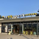 e-zen(녹색도시체험센터) | 강릉 포남동 카페 ) 벌집 아이스크림 맛집 허니홈비