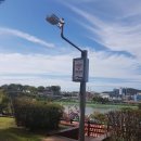 신안남강둔치 이미지