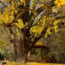 하곡 경로당 이미지