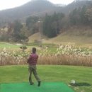 전주샹그릴라CC 이미지